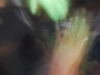 DSC_0215 [640x480]